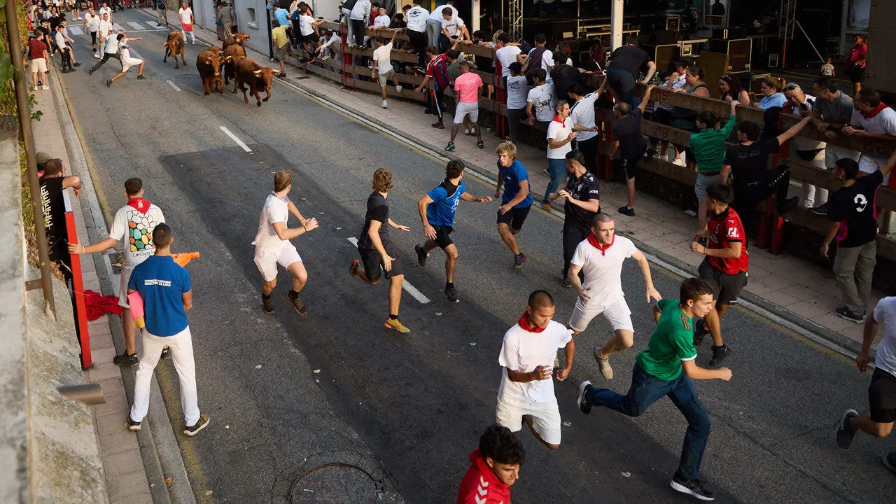 Suelta de vaquillas de la ganadería de Hermanos Ganuza en el casco antiguo durante las fiestas de Zizur Mayor 2025. IÑIGO ALZUGARAY
