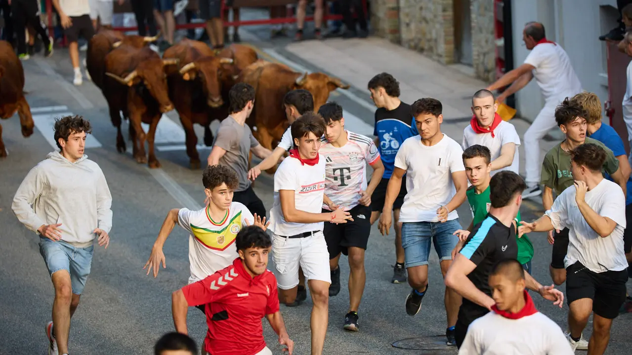 Suelta de vaquillas de la ganadería de Hermanos Ganuza en el casco antiguo durante las fiestas de Zizur Mayor 2025. IÑIGO ALZUGARAY