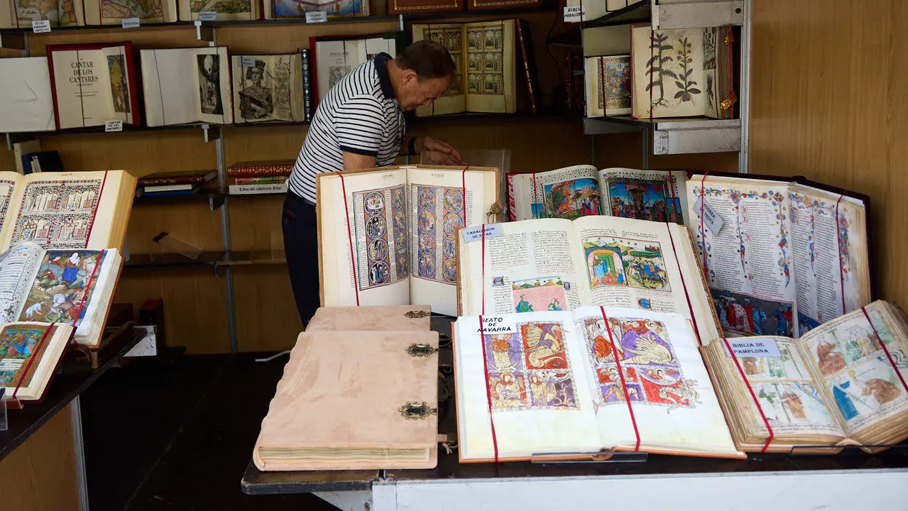 Feria del libro Antiguo y de Ocasión en la plaza del Castillo de Pamplona. IÑIGO ALZUGARAY