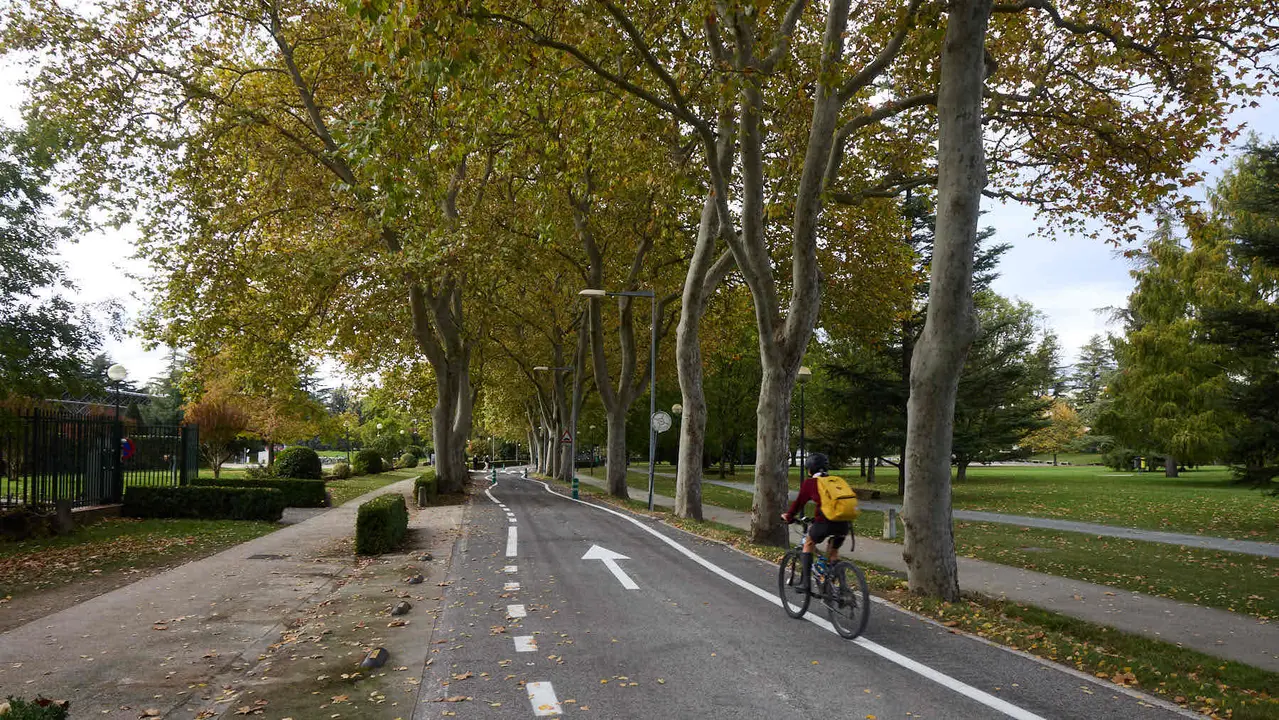 Carretera de la Universidad de Navarra con un único sentido de circulación y nueva señalización horizontal. NAVARRA.COM