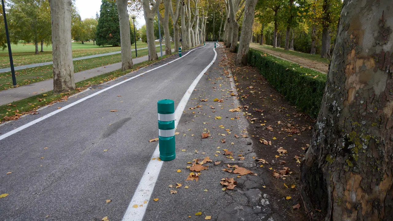 Carretera de la Universidad de Navarra con un único sentido de circulación y nueva señalización horizontal. NAVARRA.COM