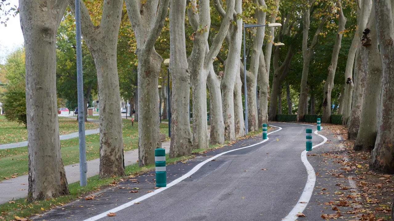 Carretera de la Universidad de Navarra con un único sentido de circulación y nueva señalización horizontal. NAVARRA.COM