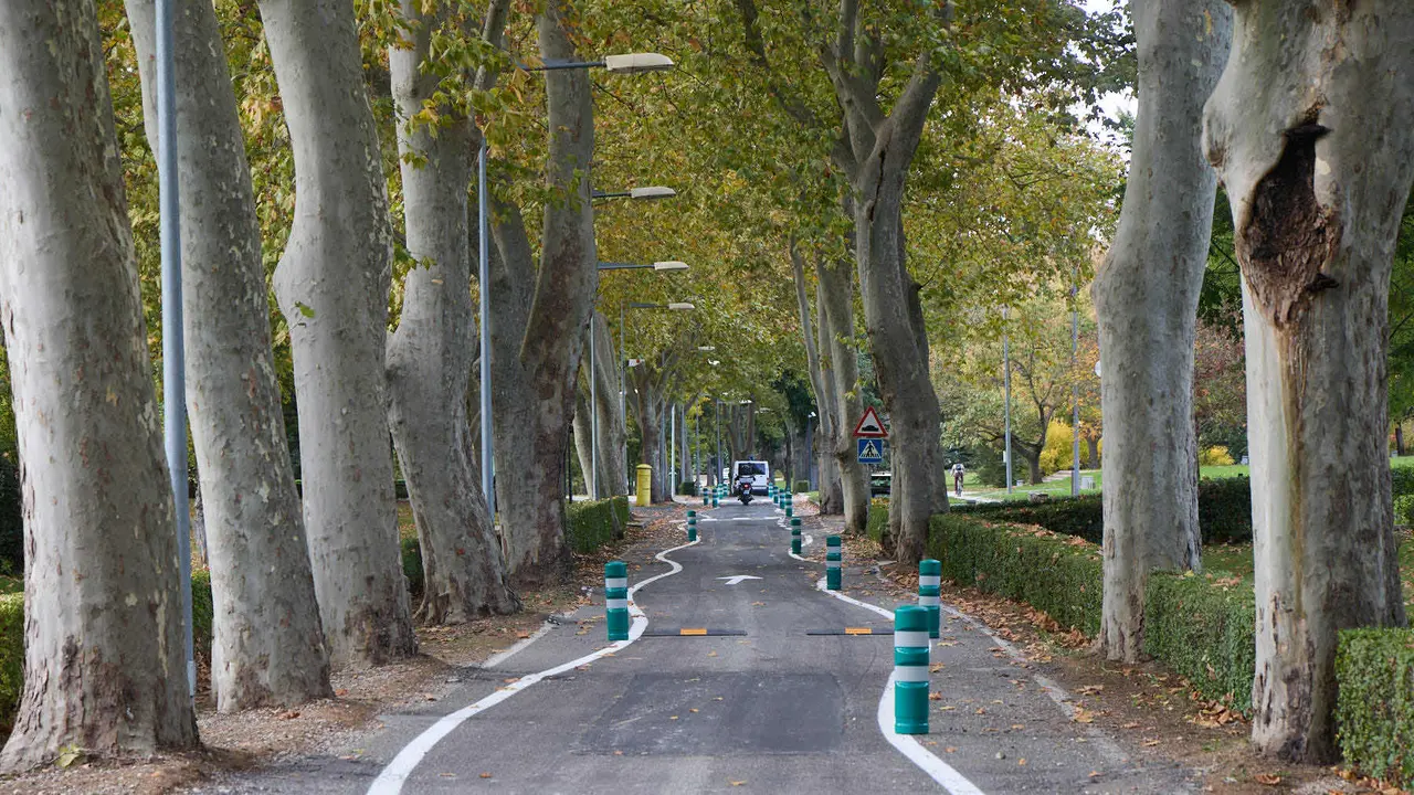 Carretera de la Universidad de Navarra con un único sentido de circulación y nueva señalización horizontal. NAVARRA.COM