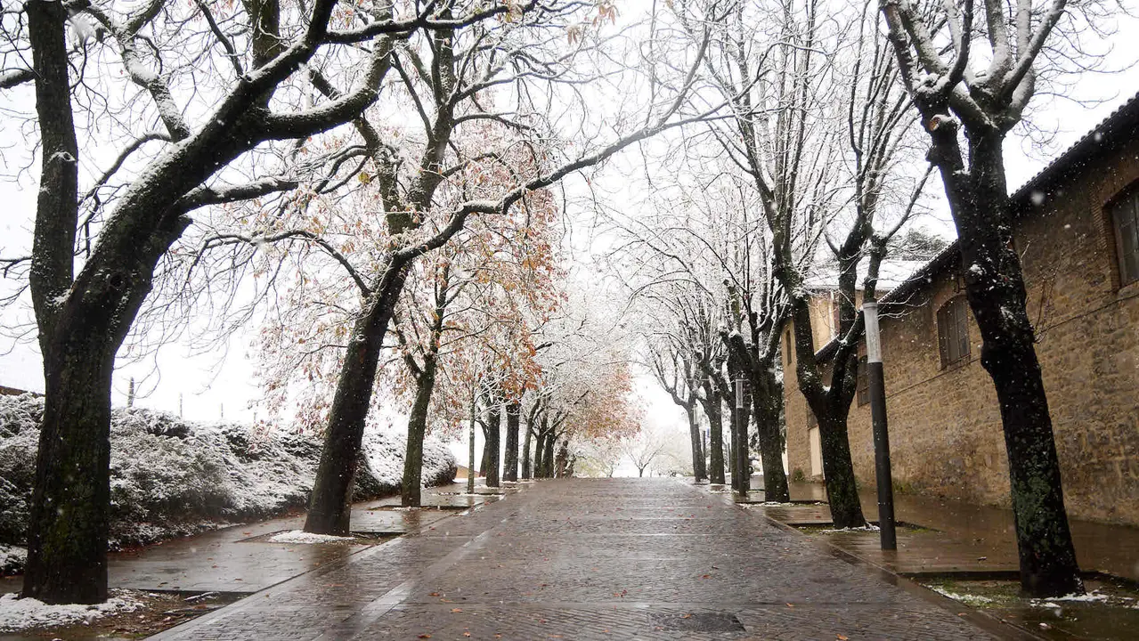 Nieve en Pamplona. IÑIGO ALZUGARAY