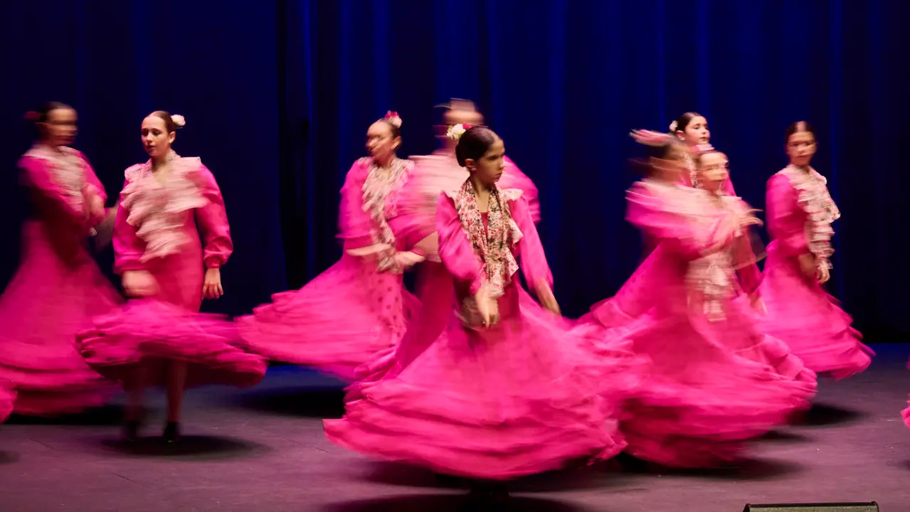 Festival Solidario de Nuevo Futuro como culminaci&oacute;n de las celebraciones del 30 aniversario del Rastrillo de esta entidad. PABLO LASAOSA