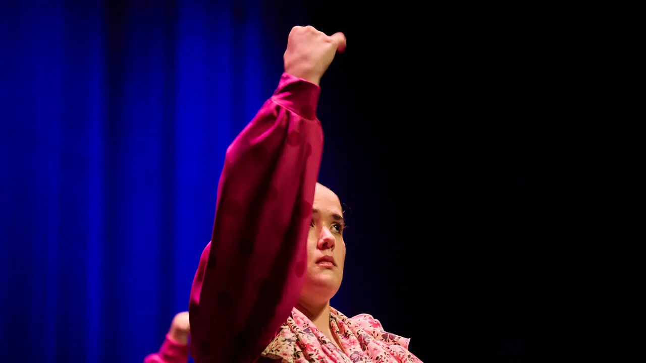 Festival Solidario de Nuevo Futuro como culminaci&oacute;n de las celebraciones del 30 aniversario del Rastrillo de esta entidad. PABLO LASAOSA