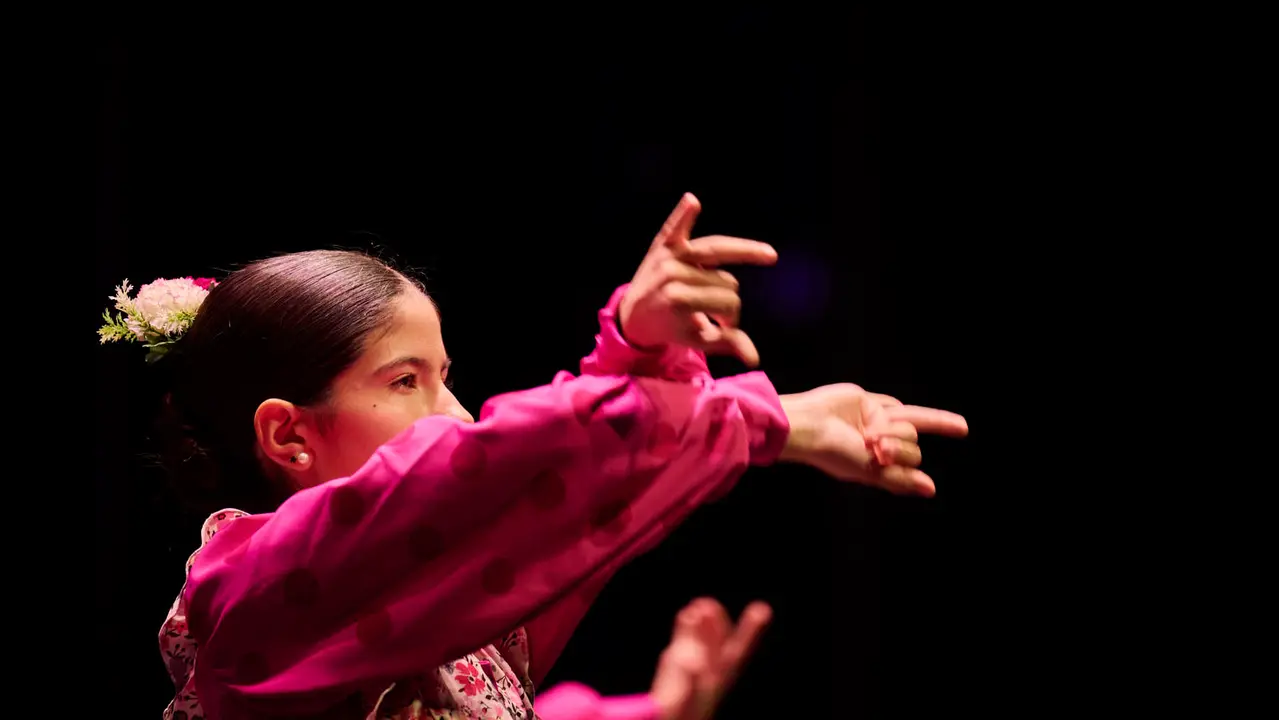 Festival Solidario de Nuevo Futuro como culminaci&oacute;n de las celebraciones del 30 aniversario del Rastrillo de esta entidad. PABLO LASAOSA