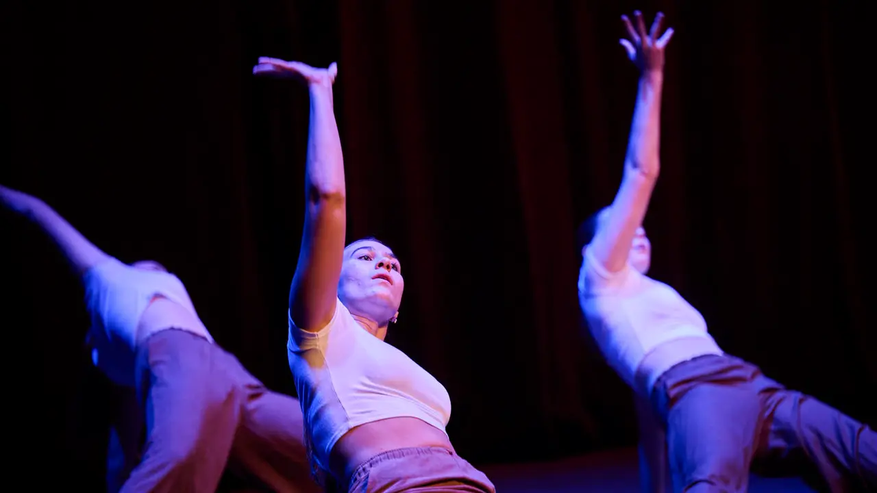 Festival Solidario de Nuevo Futuro como culminaci&oacute;n de las celebraciones del 30 aniversario del Rastrillo de esta entidad. PABLO LASAOSA