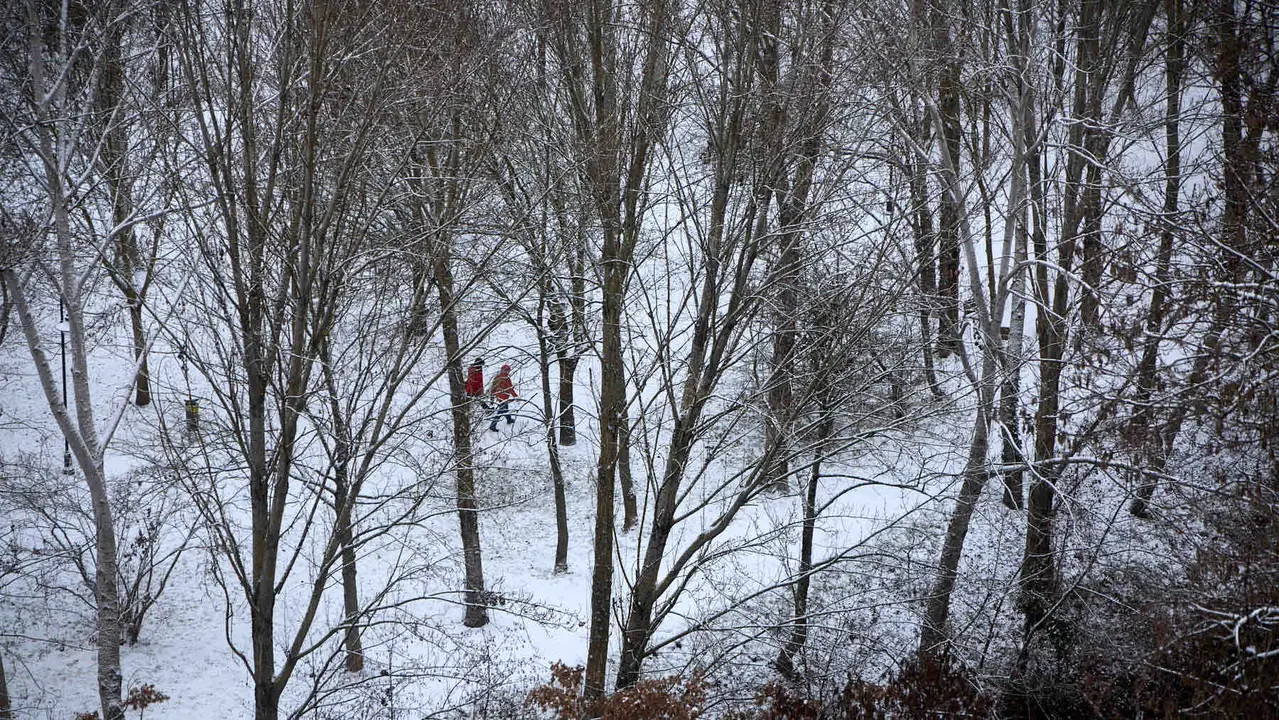 Pamplona amanece cubierta de nieve en la ma&ntilde;ana del d&iacute;a de Reyes por el paso de la borrasca Francis. I&Ntilde;IGO ALZUGARAY