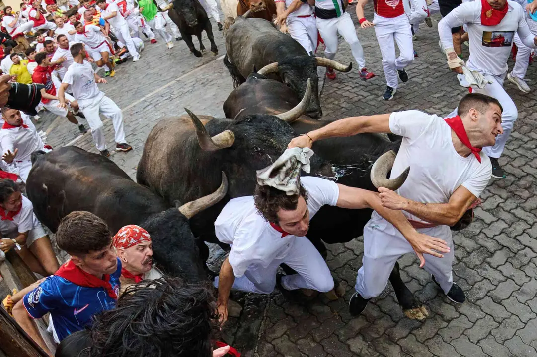 El 14 de julio del 2025, como es tradici&oacute;n, los toros de la m&iacute;tica ganader&iacute;a Miura cerraron los encierros de San Ferm&iacute;n. Protagonizaron el octavo y &uacute;ltimo encierro, que fue el m&aacute;s r&aacute;pido de las fiestas: 2 minutos y 16 segundos, con carreras limpias y con pocos heridos graves. DANIEL FERN&Aacute;NDEZ / EFE