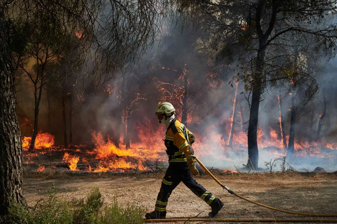 Miembro de Bomberos de Navarra luchando contra el fuego en la localidad de Carcastillo, durante el incendio m&aacute;s grave de este 2025en la Comunidad Foral. EDUARDO SANZ