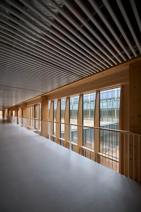 Inauguraci&oacute;n del nuevo edificio de la Facultad de Ciencias de la Salud de la UPNA. PABLO LASAOSA