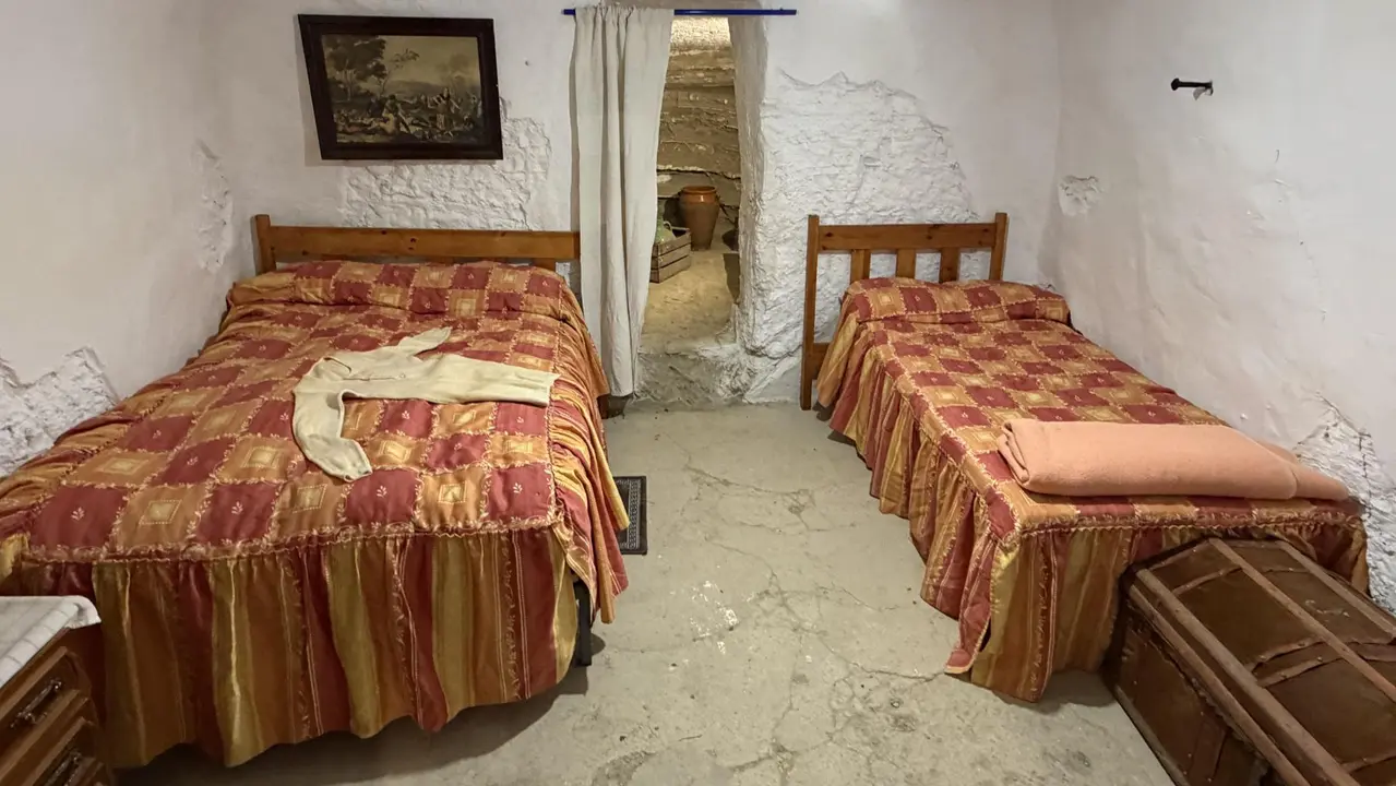 Inauguraci&oacute;n del Espacio Cultural de las Cuevas de Arguedas. CEDIDA