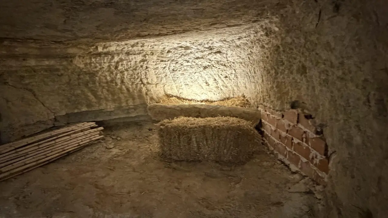 Inauguraci&oacute;n del Espacio Cultural de las Cuevas de Arguedas. CEDIDA
