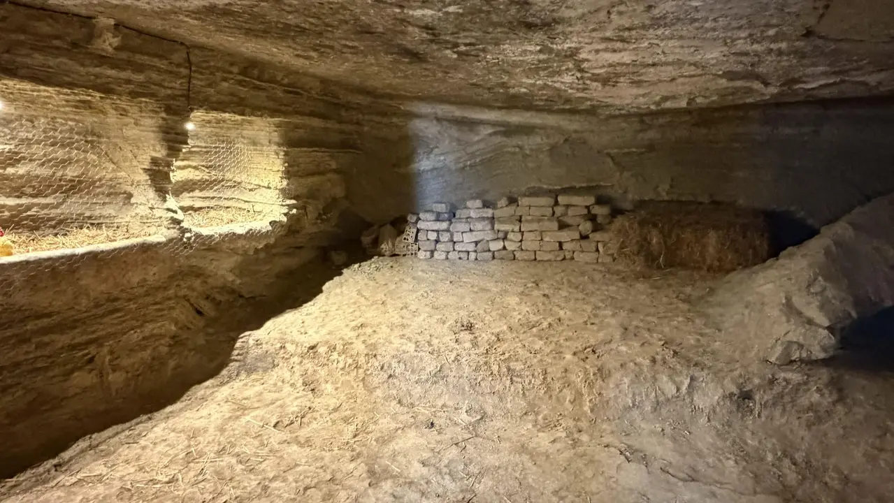 Inauguraci&oacute;n del Espacio Cultural de las Cuevas de Arguedas. CEDIDA