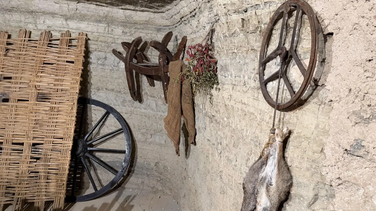 Inauguraci&oacute;n del Espacio Cultural de las Cuevas de Arguedas. CEDIDA