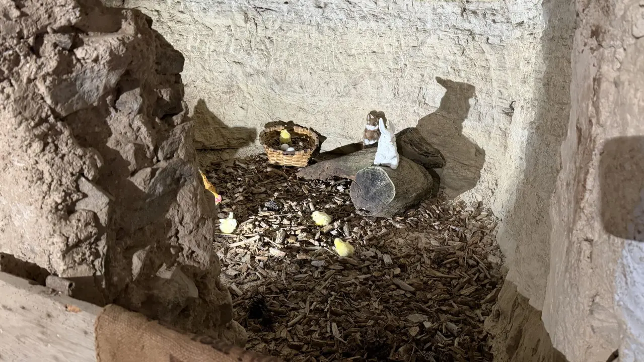 Inauguraci&oacute;n del Espacio Cultural de las Cuevas de Arguedas. CEDIDA