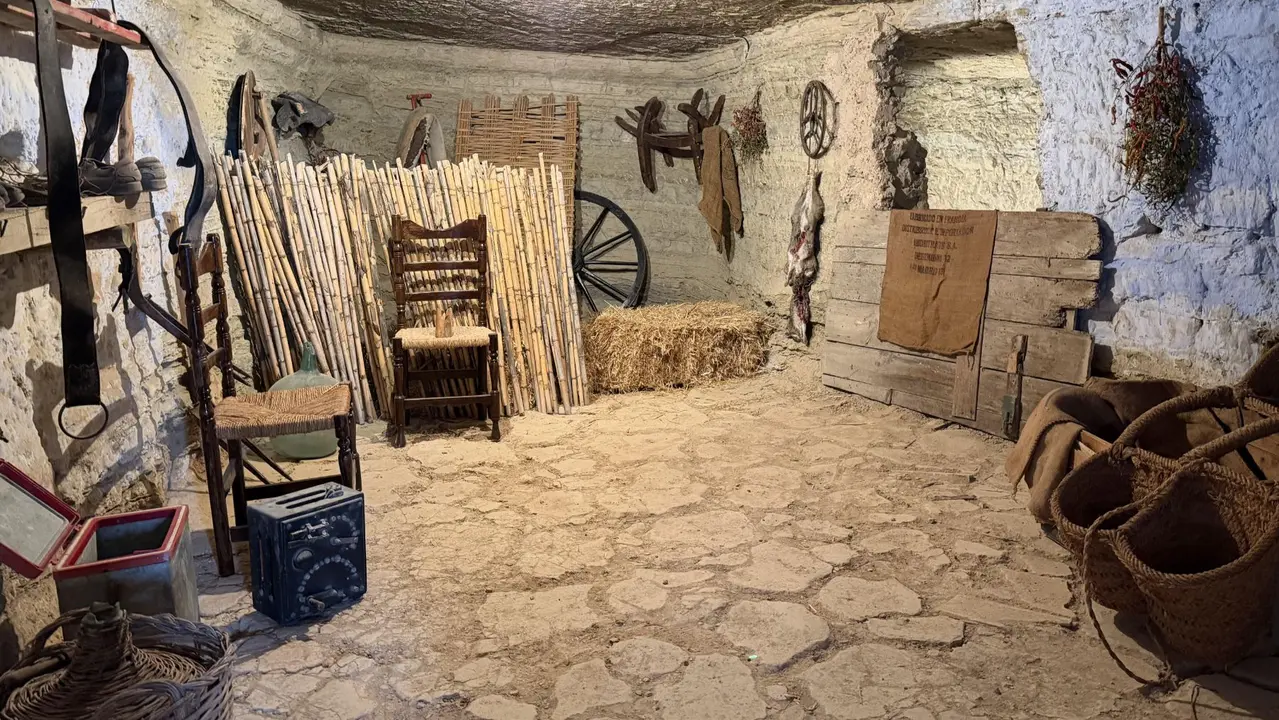 Inauguraci&oacute;n del Espacio Cultural de las Cuevas de Arguedas. CEDIDA