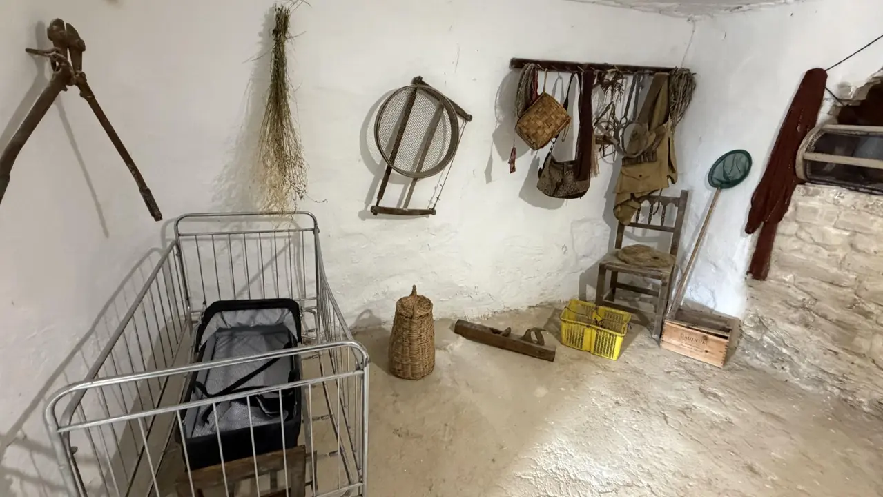 Inauguraci&oacute;n del Espacio Cultural de las Cuevas de Arguedas. CEDIDA