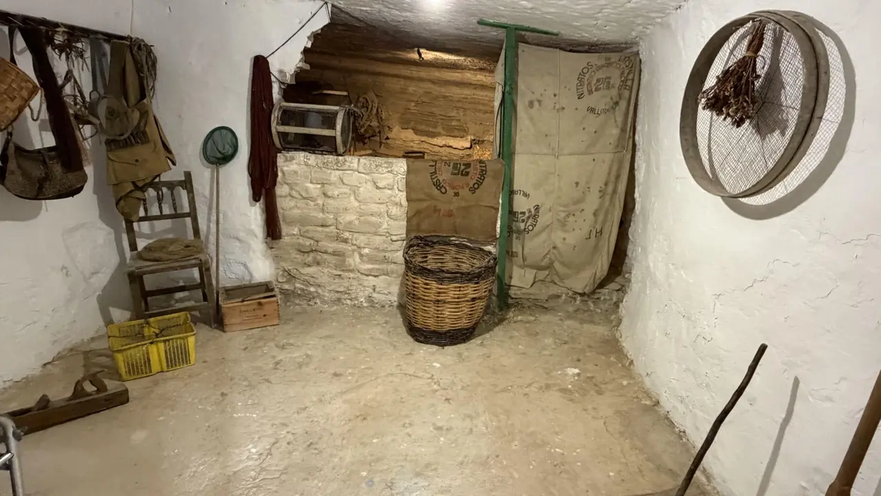 Inauguraci&oacute;n del Espacio Cultural de las Cuevas de Arguedas. CEDIDA