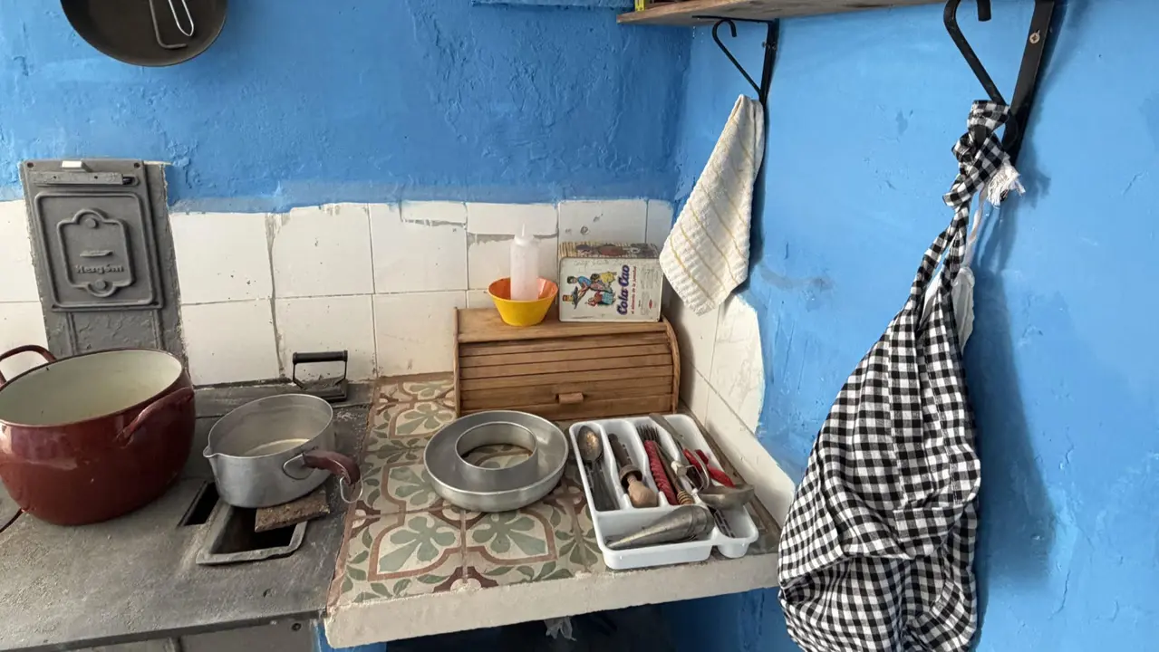 Inauguraci&oacute;n del Espacio Cultural de las Cuevas de Arguedas. CEDIDA