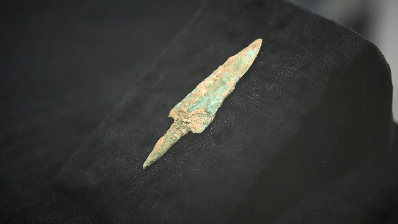 Presentaci&oacute;n de un bisonte de hace 4000 a&ntilde;os, nuevo hallazgo arqueol&oacute;gico en el Parque de Urbasa, en Navarra. PABLO LASAOSA