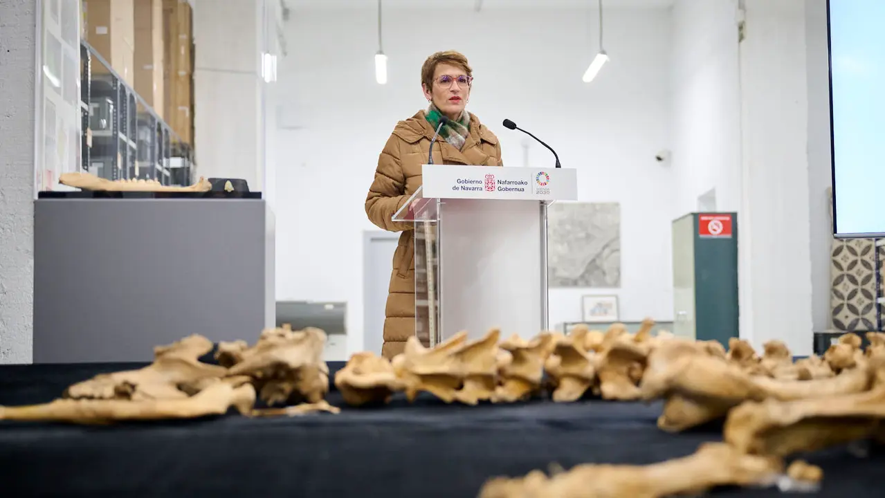Presentaci&oacute;n de un bisonte de hace 4000 a&ntilde;os, nuevo hallazgo arqueol&oacute;gico en el Parque de Urbasa, en Navarra. PABLO LASAOSA