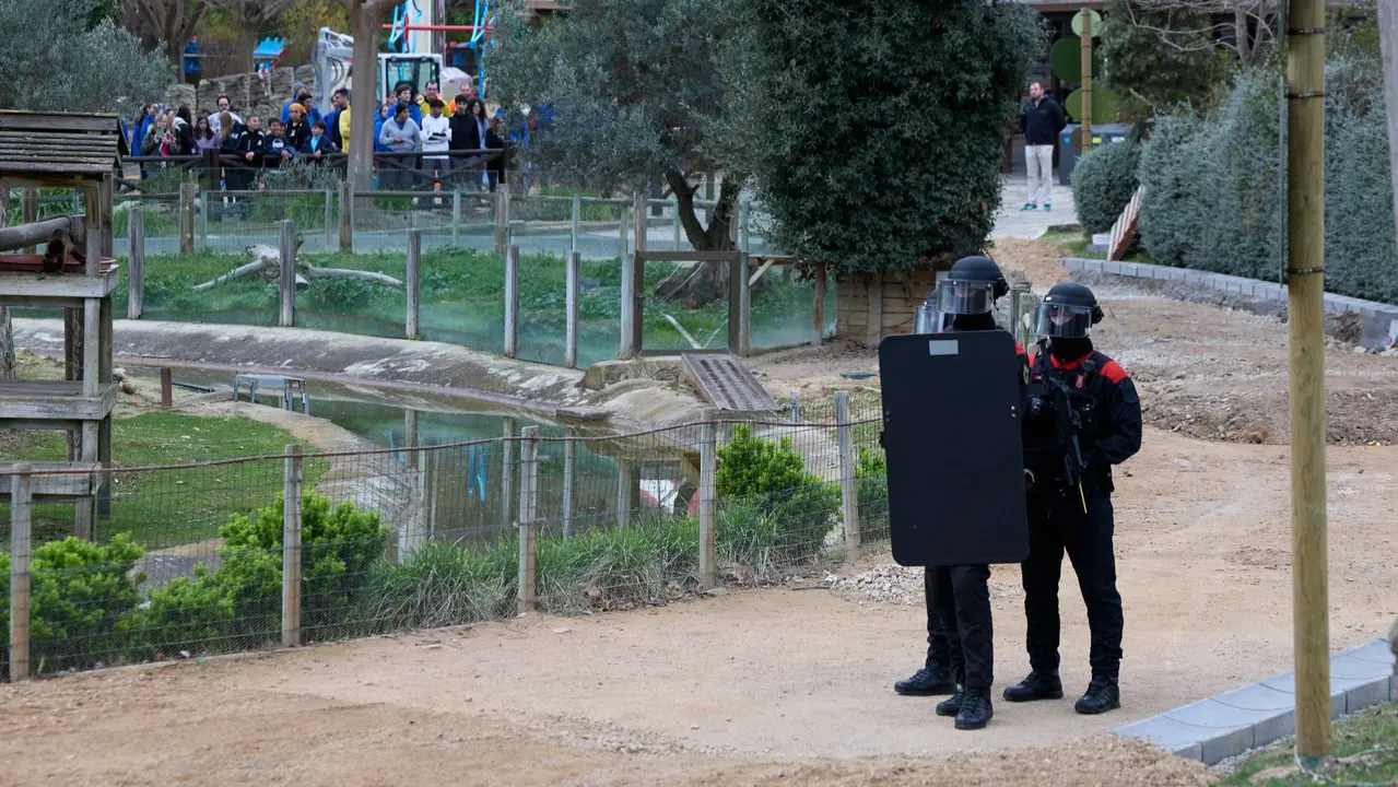 05032026_Simulacro_Senda_Viva_8 (1)