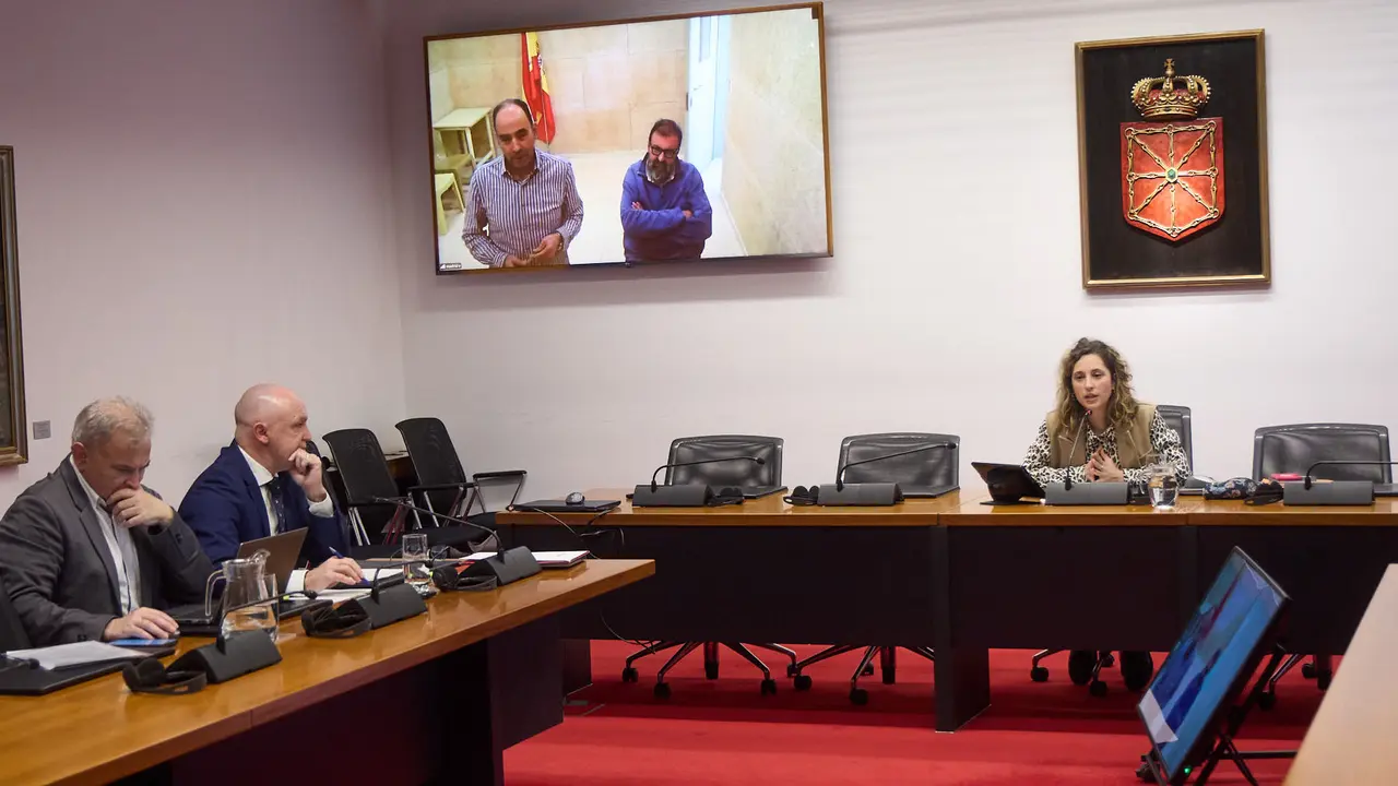 Comisi&oacute;n de investigaci&oacute;n sobre licitaci&oacute;n y adjudicaci&oacute;n de obras p&uacute;blicas del Gobierno de Navarra con la comparecencia de Koldo Garc&iacute;a por videoconferencia desde la prisi&oacute;n de Soto del Real. I&Ntilde;IGO ALZUGARAY