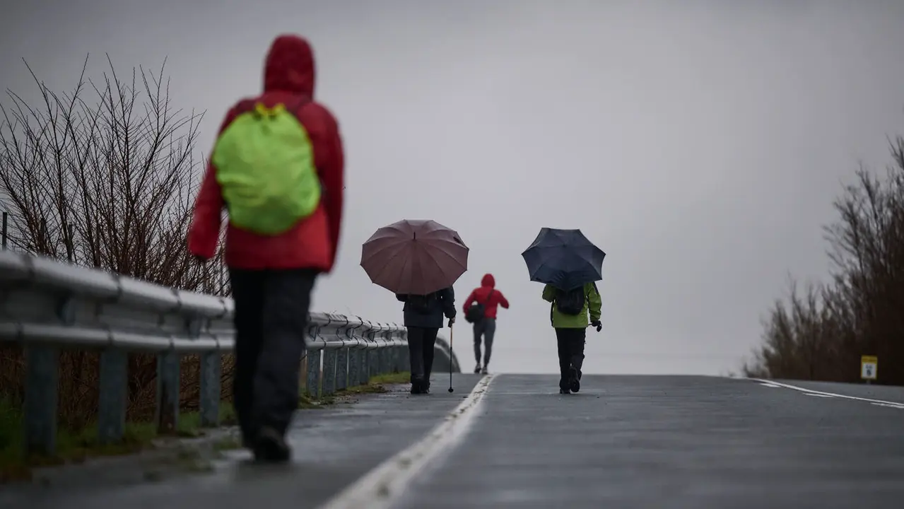 Miles de personas peregrinan a Javier durante la segunda Javierada de 2026. PABLO LASAOSA