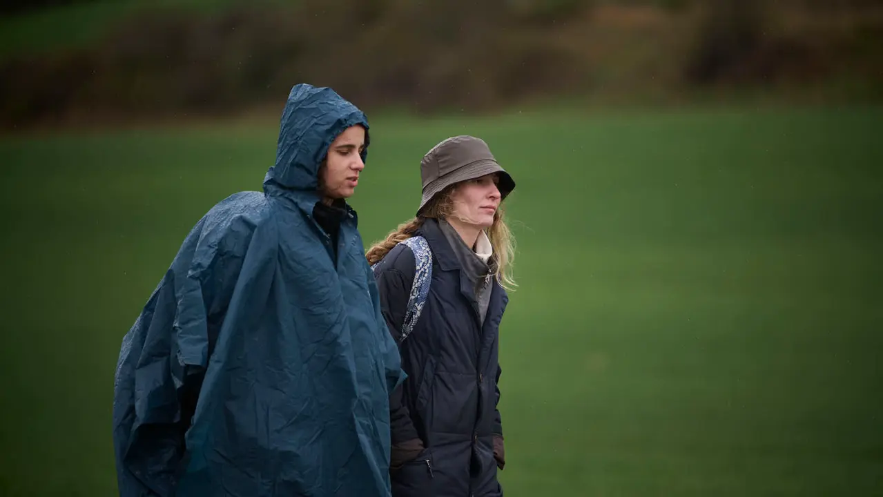 Miles de personas peregrinan a Javier durante la segunda Javierada de 2026. PABLO LASAOSA