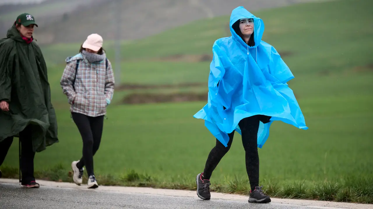 Miles de personas peregrinan a Javier durante la segunda Javierada de 2026. PABLO LASAOSA