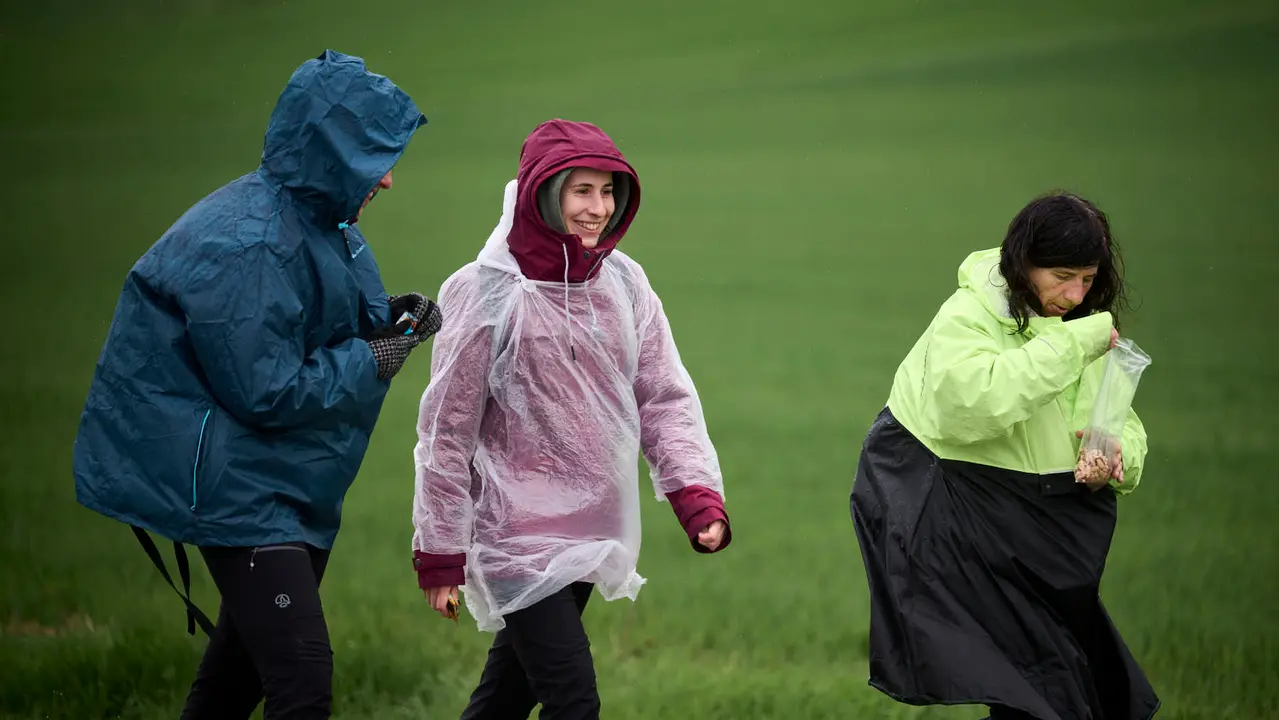 Miles de personas peregrinan a Javier durante la segunda Javierada de 2026. PABLO LASAOSA