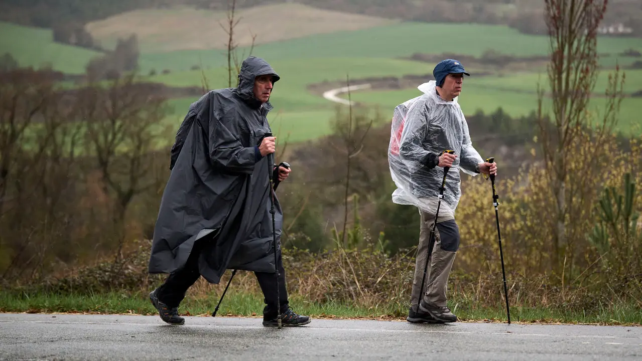 Miles de personas peregrinan a Javier durante la segunda Javierada de 2026. PABLO LASAOSA
