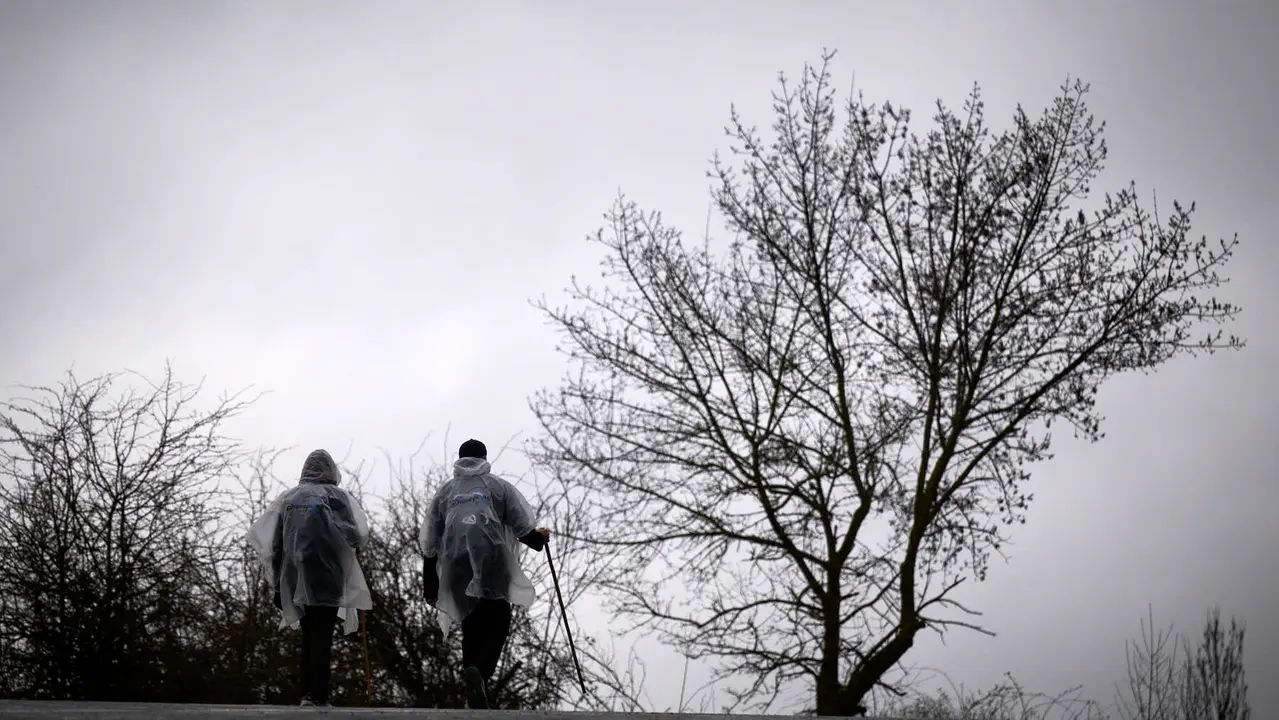 Miles de personas peregrinan a Javier durante la segunda Javierada de 2026. PABLO LASAOSA