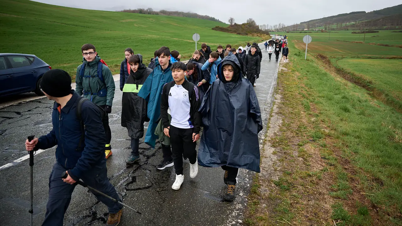 Miles de personas peregrinan a Javier durante la segunda Javierada de 2026. PABLO LASAOSA