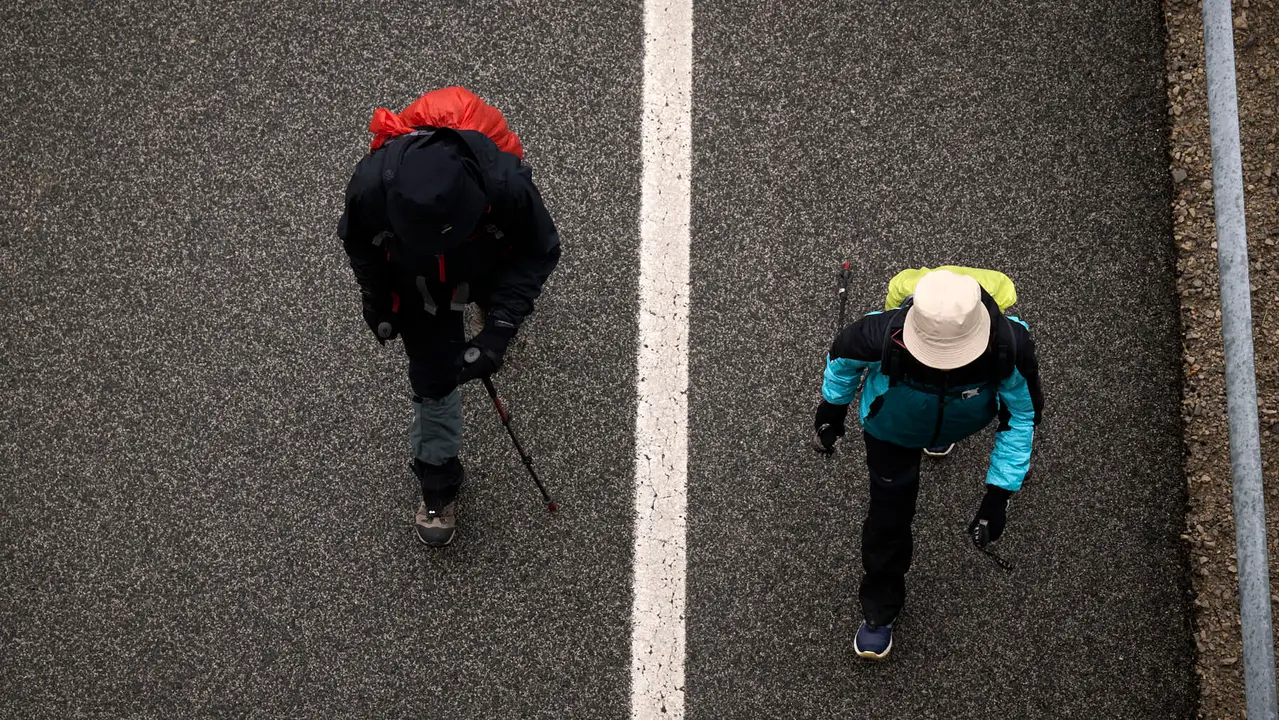 Miles de personas peregrinan a Javier durante la segunda Javierada de 2026. PABLO LASAOSA