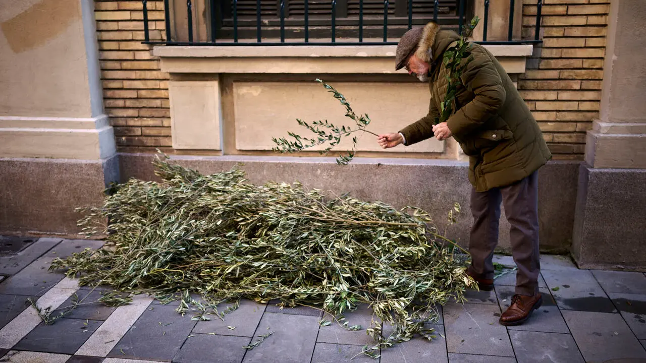 Procesi&oacute;n y bendici&oacute;n de ramos y palmas durante el Domingo de Ramos 2026. PABLO LASAOSA
