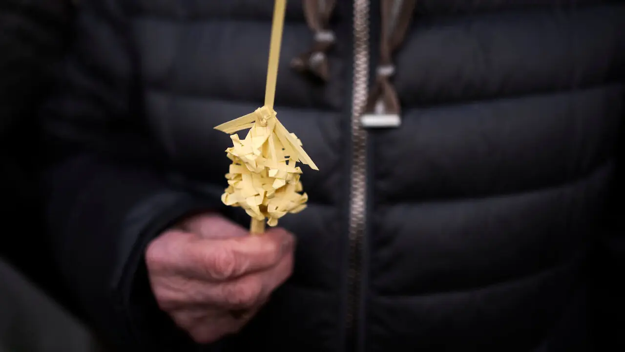 Procesi&oacute;n y bendici&oacute;n de ramos y palmas durante el Domingo de Ramos 2026. PABLO LASAOSA