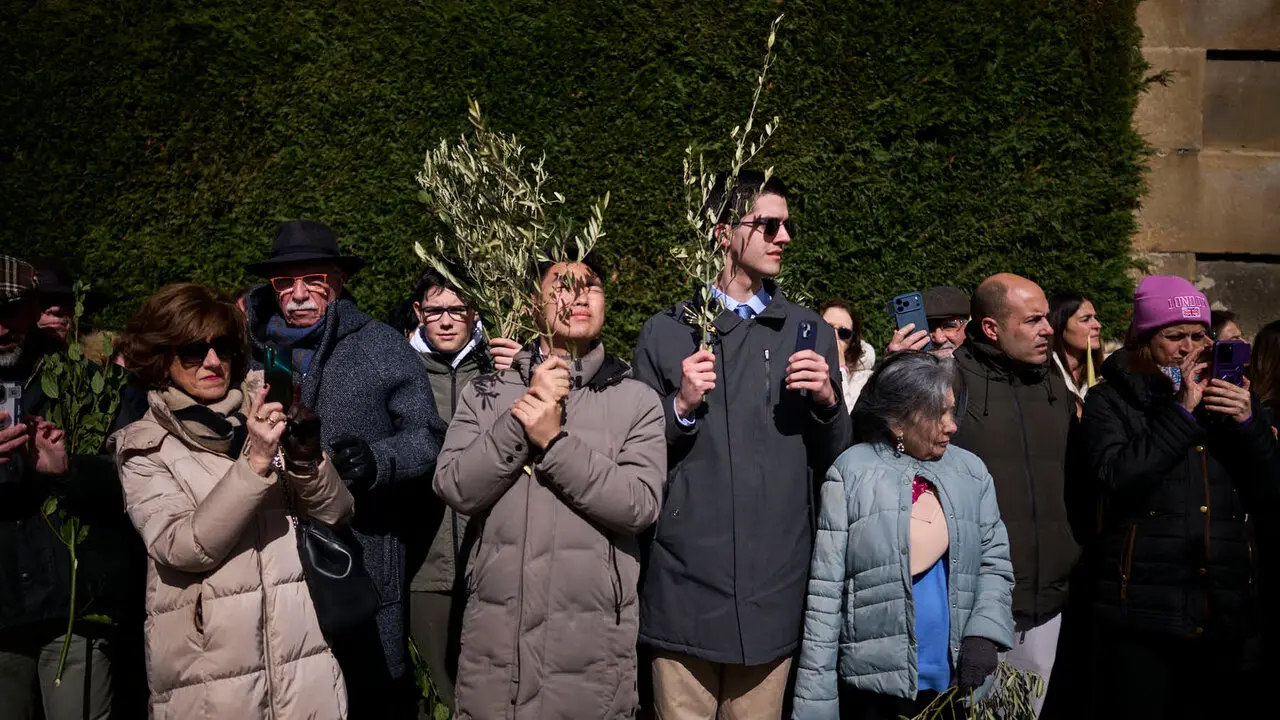 Procesi&oacute;n y bendici&oacute;n de ramos y palmas durante el Domingo de Ramos 2026. PABLO LASAOSA