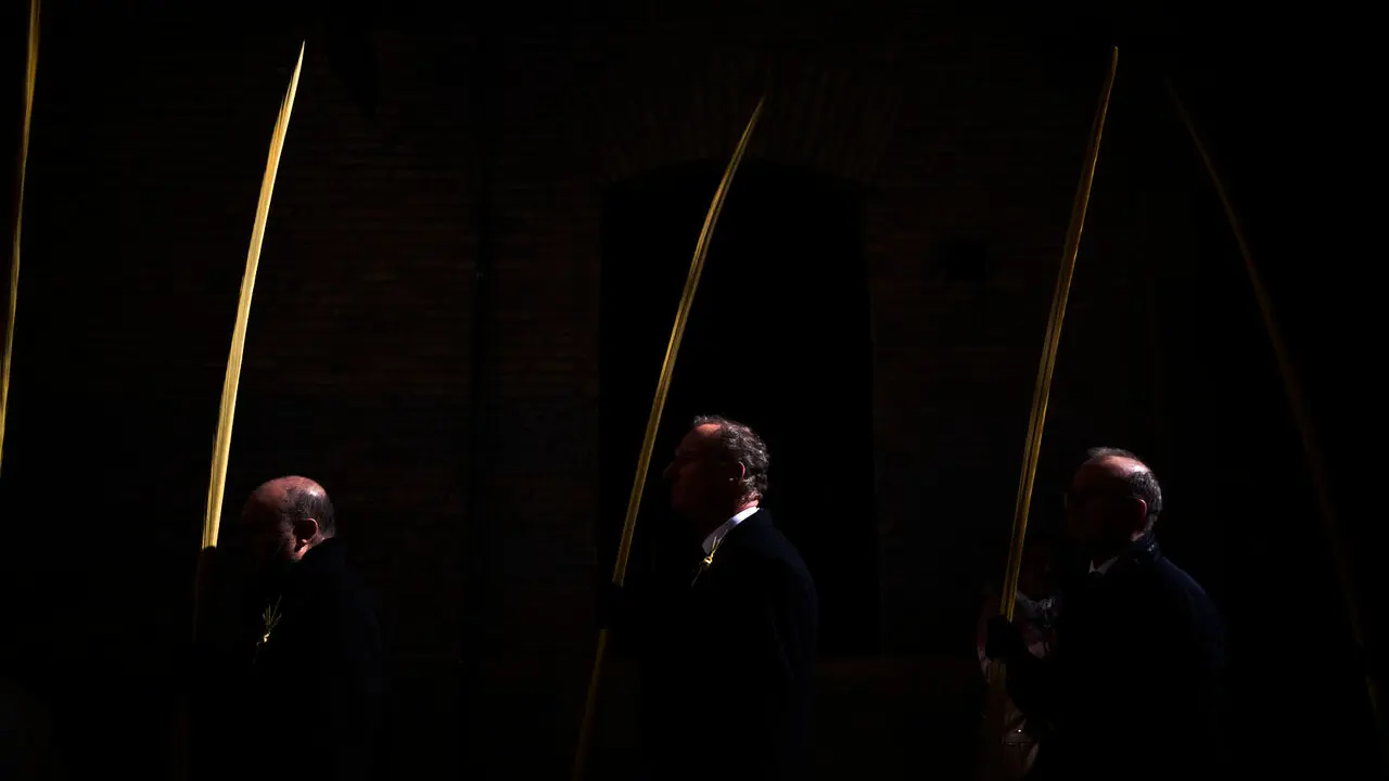 Procesi&oacute;n y bendici&oacute;n de ramos y palmas durante el Domingo de Ramos 2026. PABLO LASAOSA
