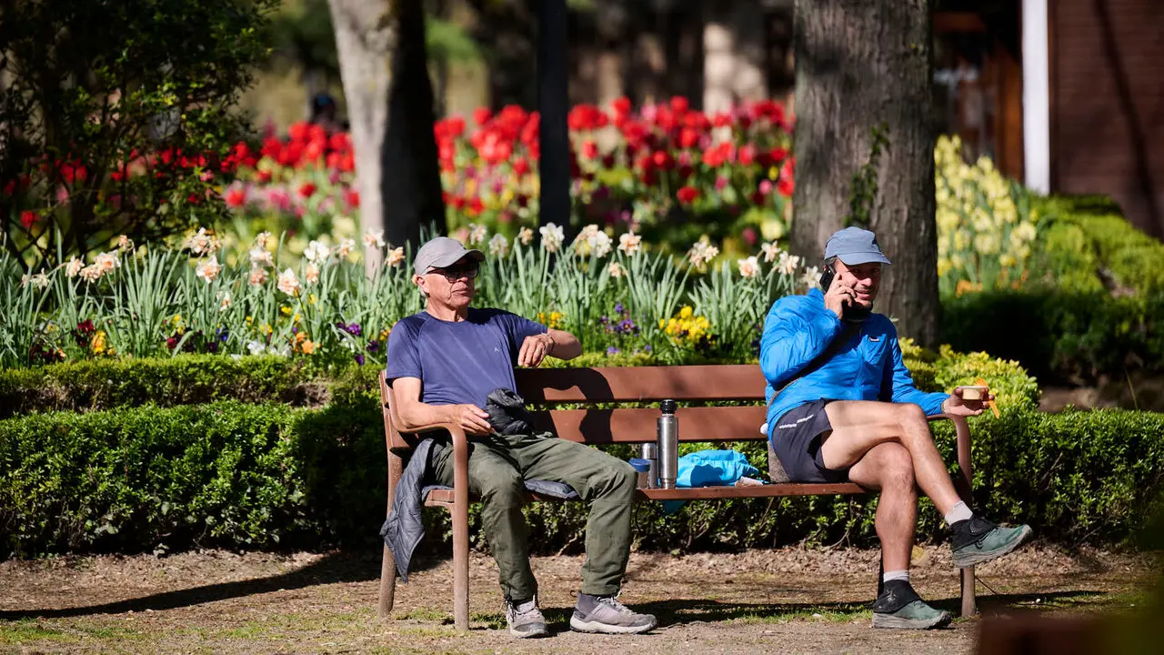 La primavera llega a Pamplona en 2026. PABLO LASAOSA