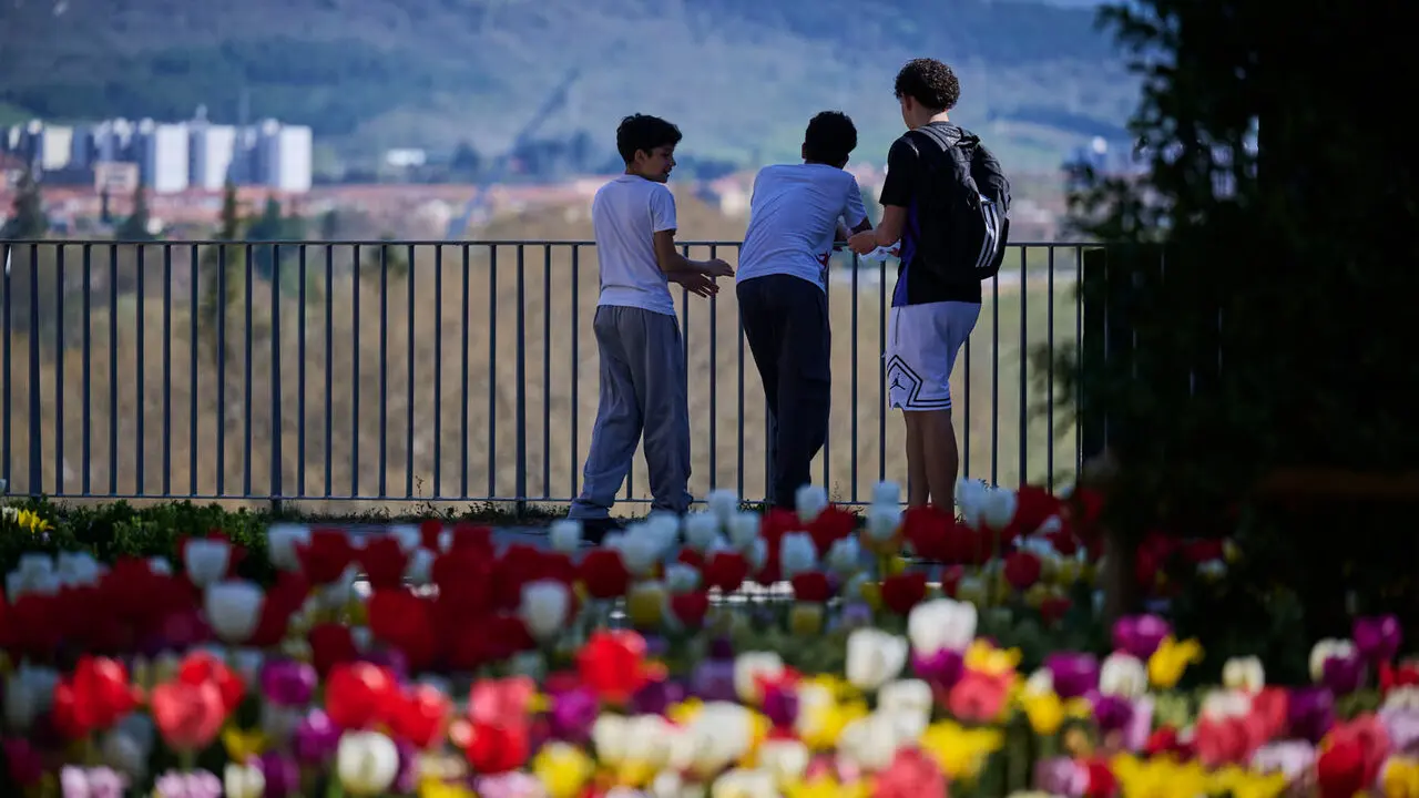 La primavera llega a Pamplona en 2026. PABLO LASAOSA