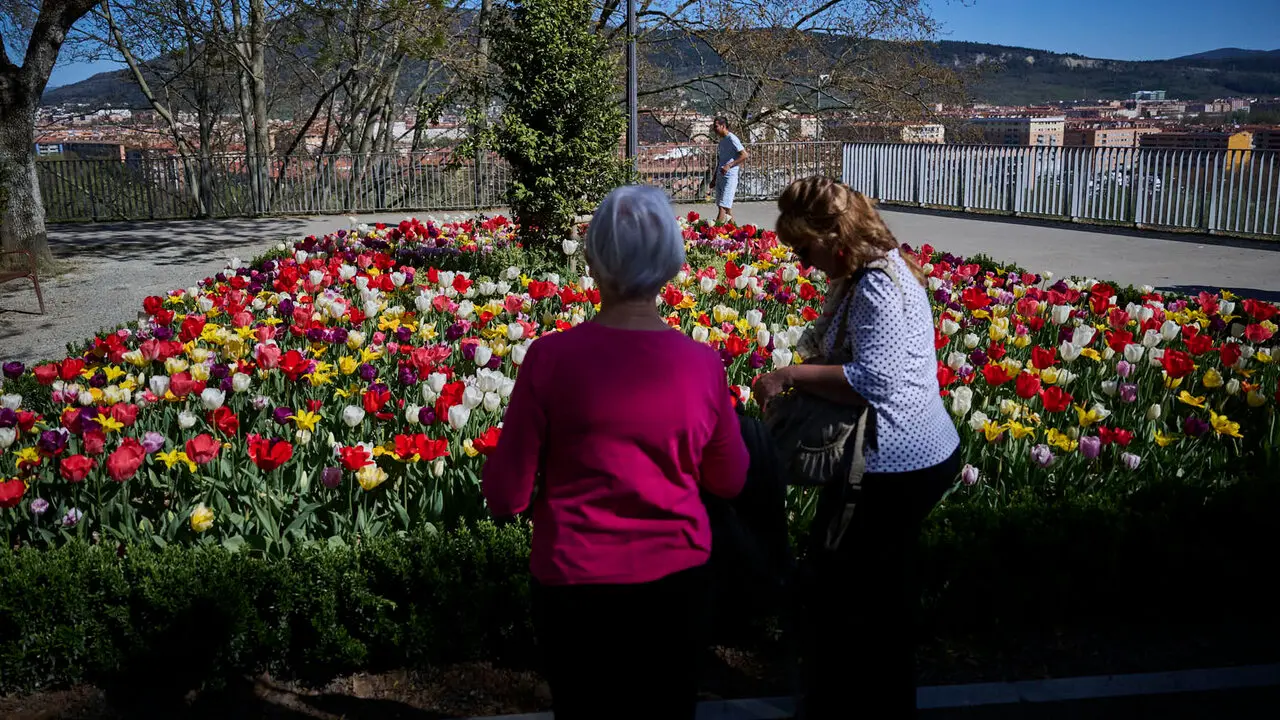 La primavera llega a Pamplona en 2026. PABLO LASAOSA