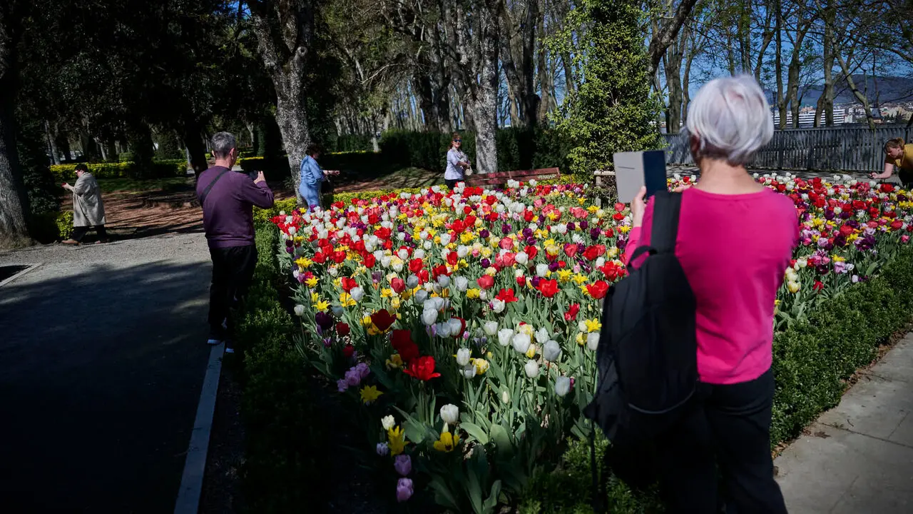La primavera llega a Pamplona en 2026. PABLO LASAOSA