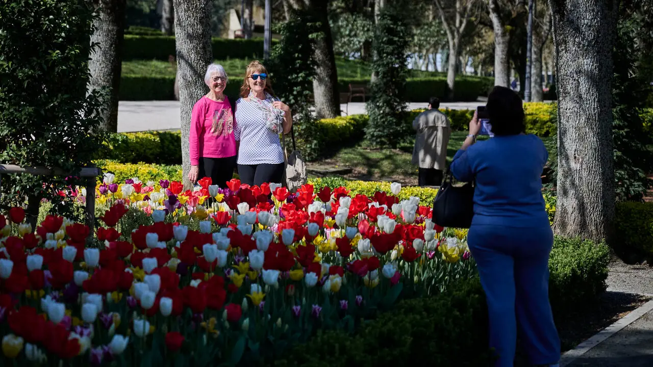 La primavera llega a Pamplona en 2026. PABLO LASAOSA