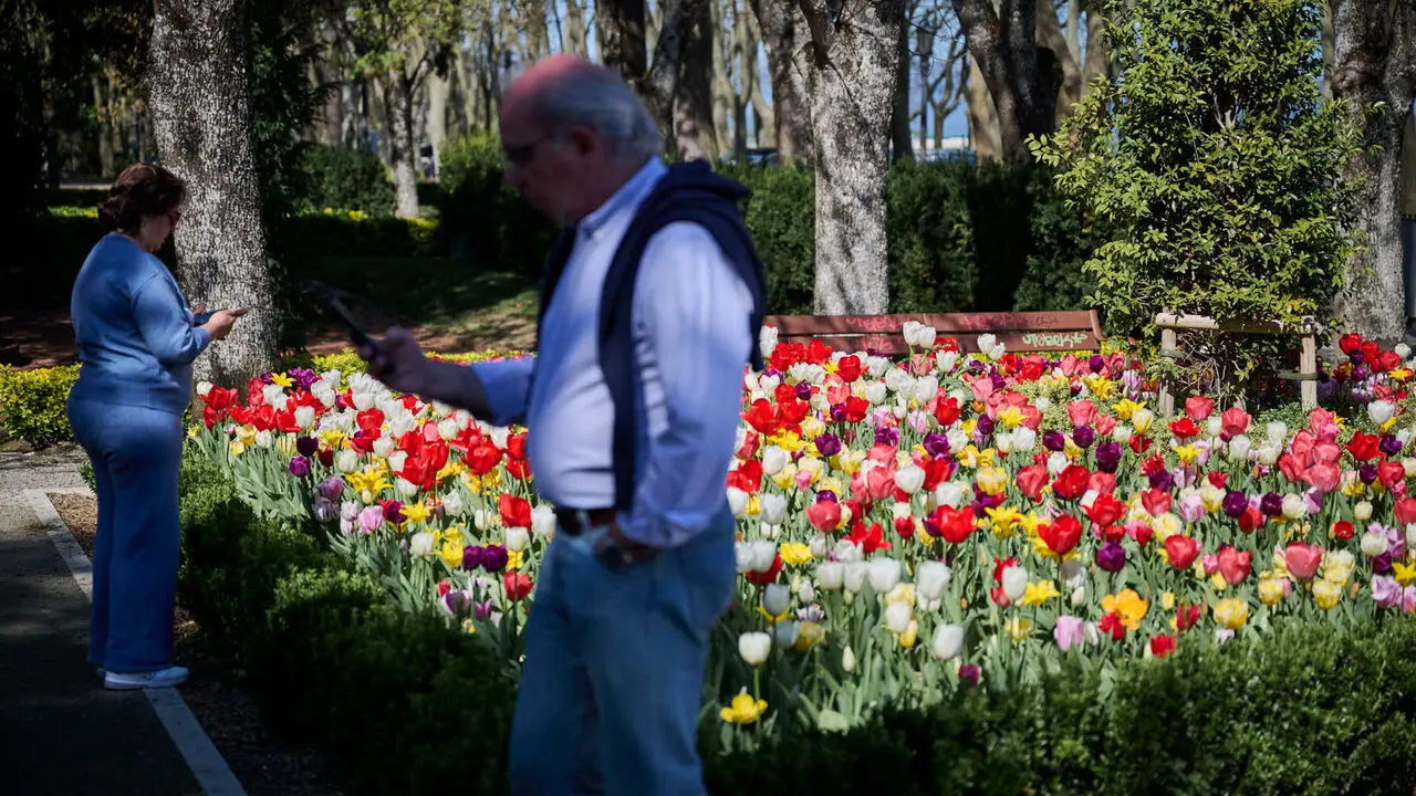 La primavera llega a Pamplona en 2026. PABLO LASAOSA