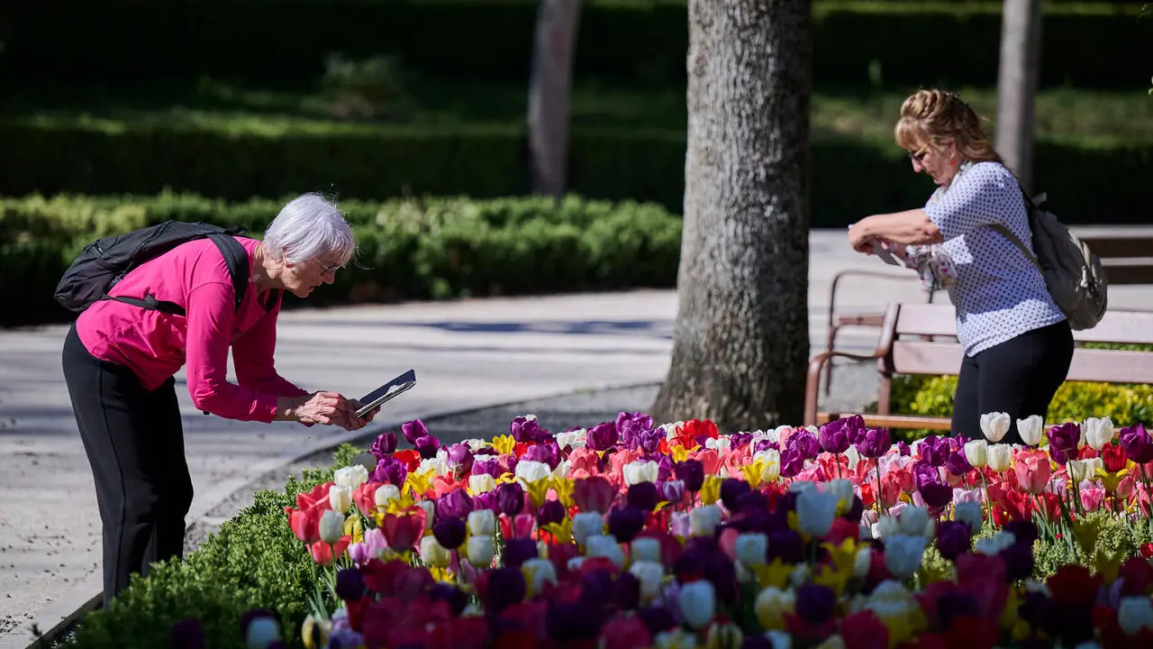 La primavera llega a Pamplona en 2026. PABLO LASAOSA