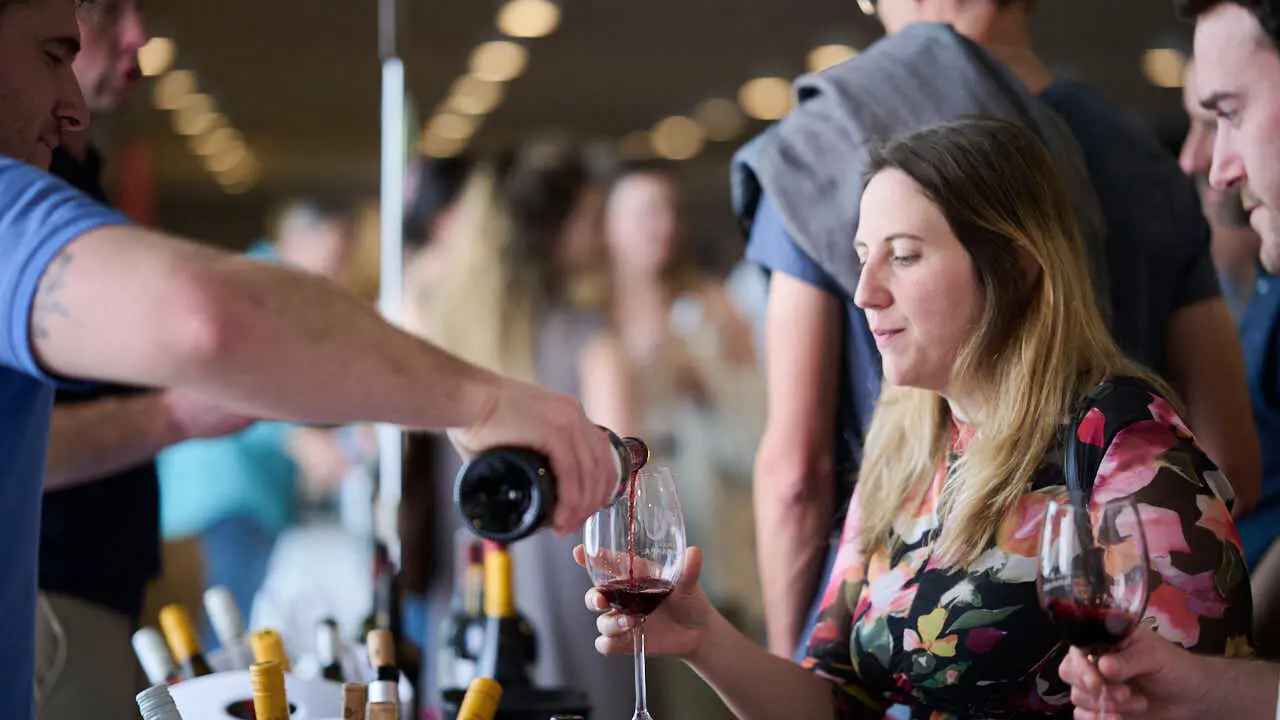 Decimotercera edici&oacute;n de Vinofest Navarra, con la presencia de 22 bodegas navarras. PABLO LASAOSA
