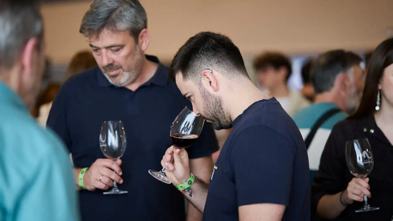 Decimotercera edici&oacute;n de Vinofest Navarra, con la presencia de 22 bodegas navarras. PABLO LASAOSA